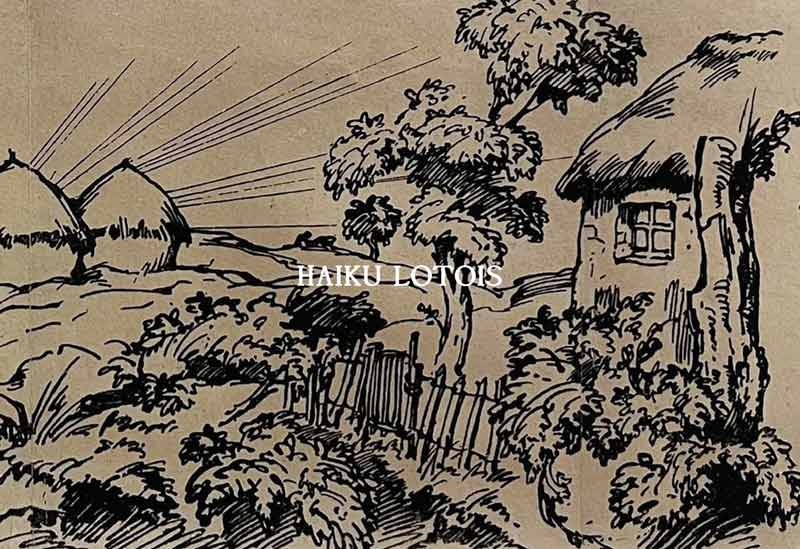 book cover for HAIKU LOTOIS